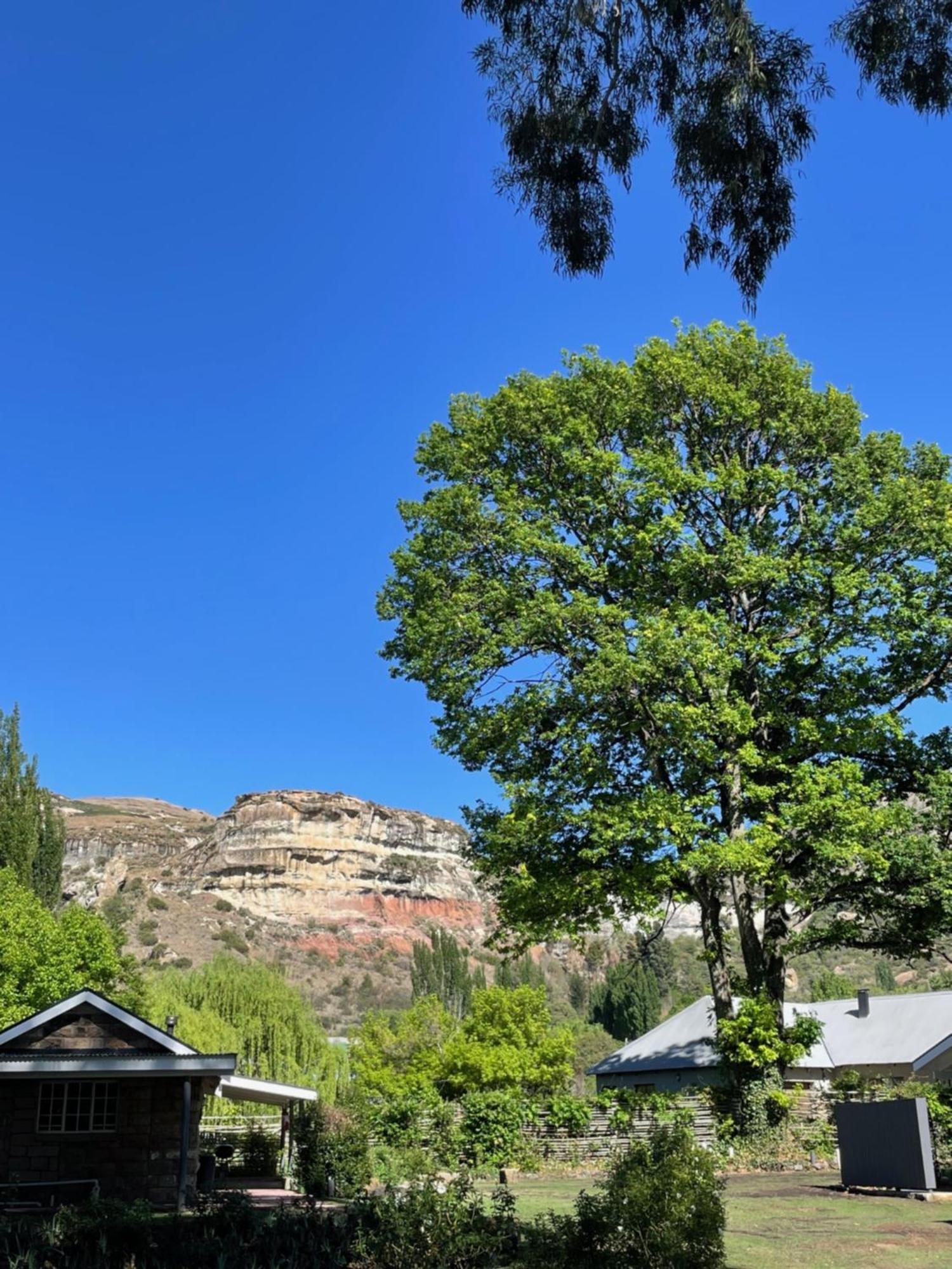 Periwinkle, Grove ,Acorn & Sage Cottages Clarens Exteriér fotografie