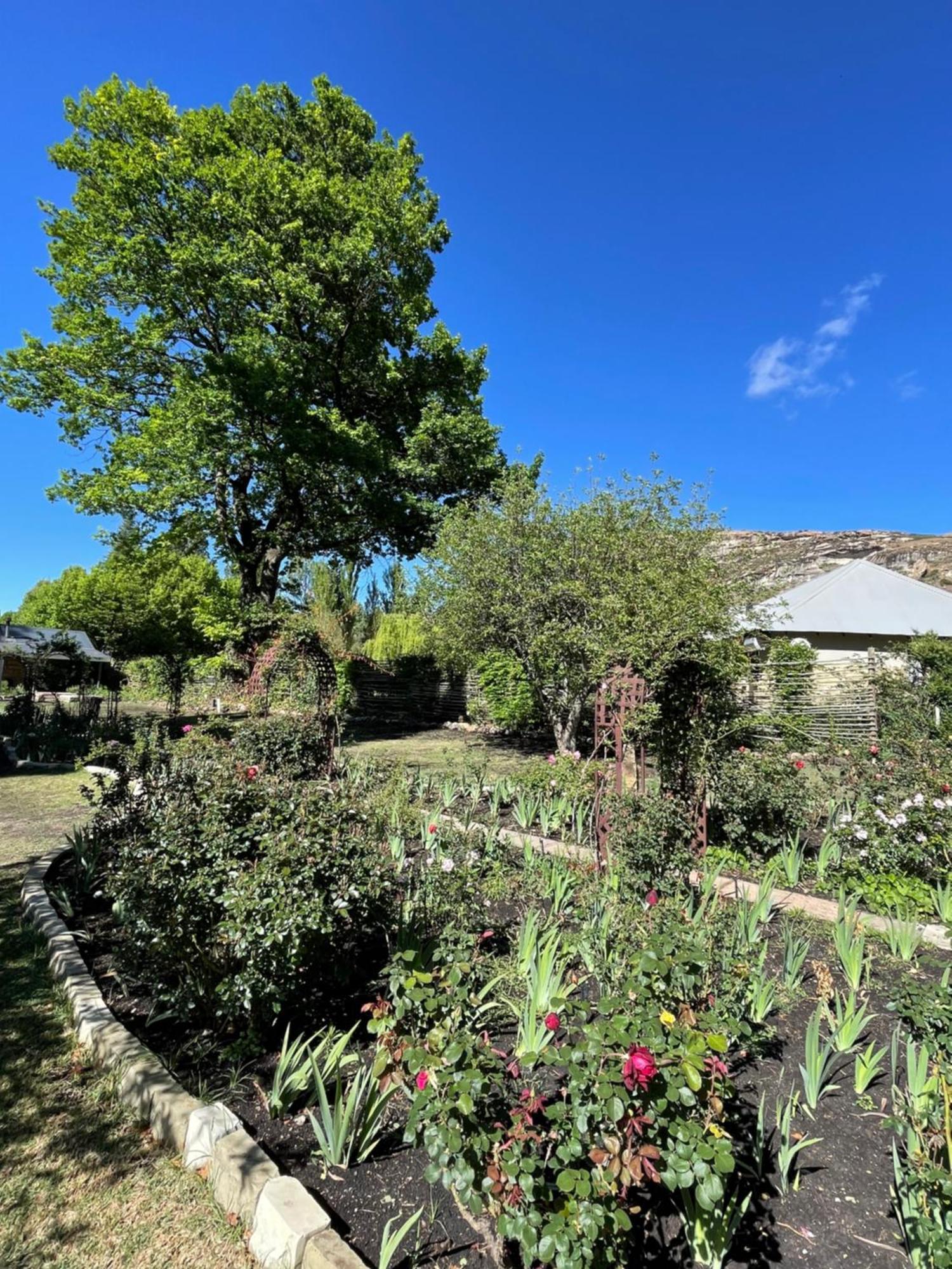 Periwinkle, Grove ,Acorn & Sage Cottages Clarens Exteriér fotografie