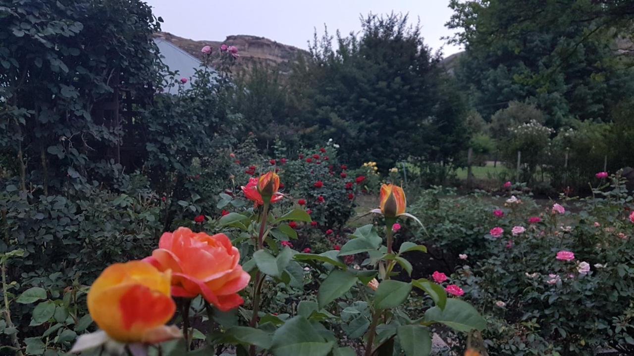 Periwinkle, Grove ,Acorn & Sage Cottages Clarens Exteriér fotografie